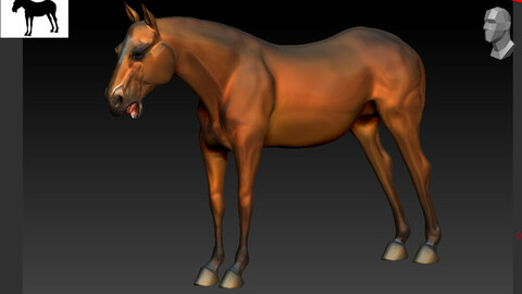 Horse 3D Asset