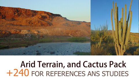 +240 Arid Terrain and Cactus Pack (ARUBA - Island ) - For references and studies