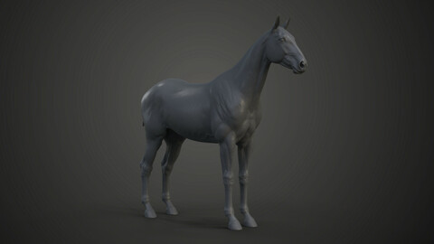 Horse Model