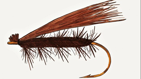 Elk Hair Caddis fly pattern