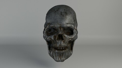 Silver Skull