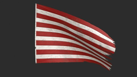 The Sons of Liberty Flag