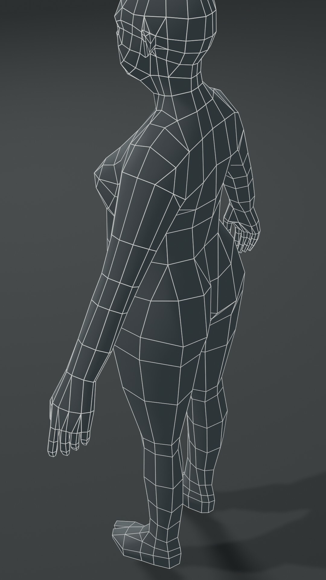 Artstation Female Body Fat Base Mesh 3d Model 1000 Polygons Game Assets