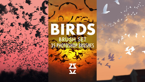 Birds brush set