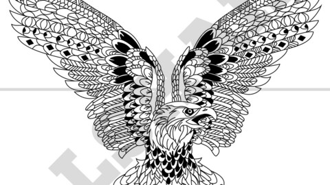 Eagle Vector Draw, Illustrator