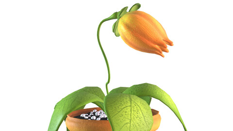 Stylized flower in pot