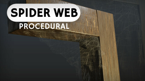 Spider Web_Procedural