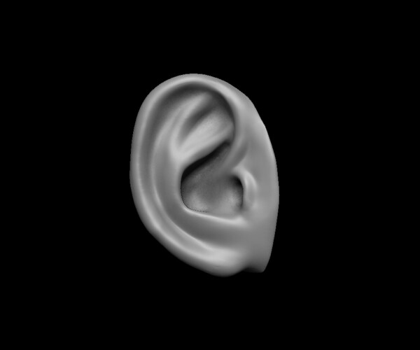 ArtStation - Free sample of 3 EARS with high poly and low poly 3D model ...