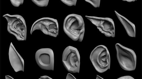 ears 3D model with high poly and low poly