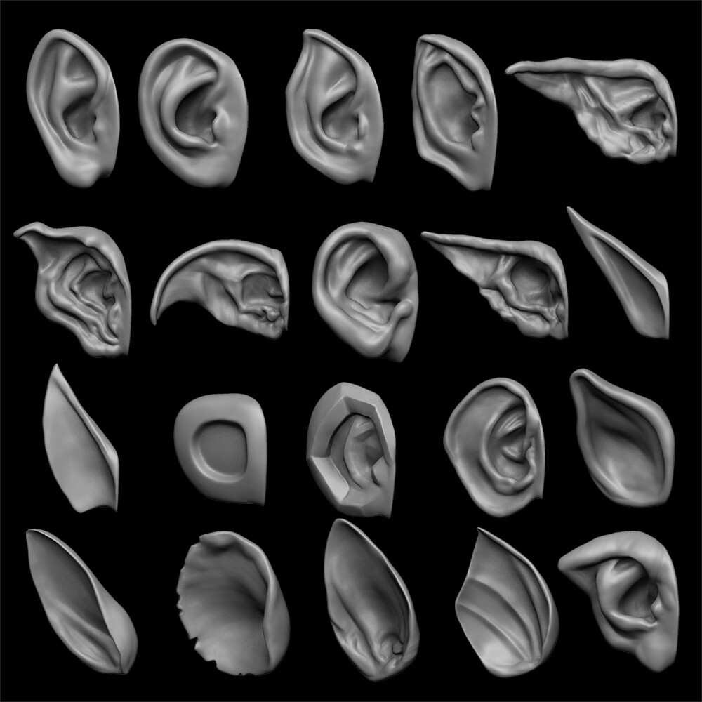 ArtStation - ears 3D model with high poly and low poly | Game Assets