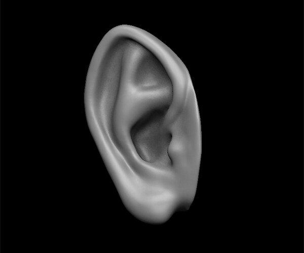 ArtStation - ears 3D model with high poly and low poly | Game Assets