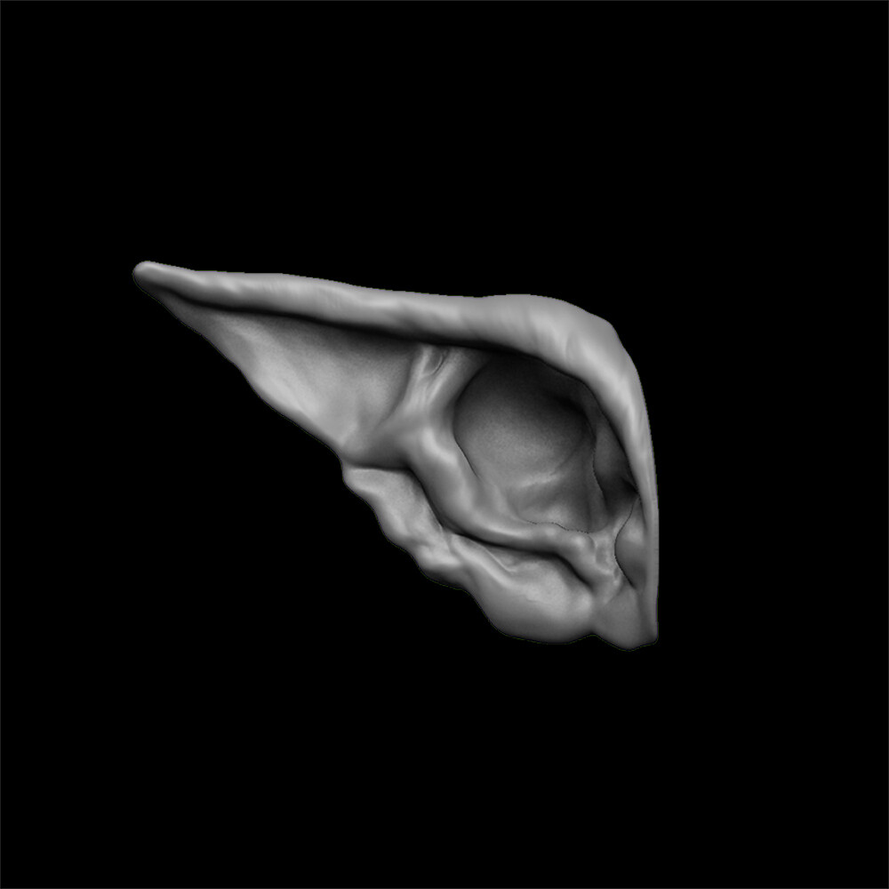 ArtStation - ears 3D model with high poly and low poly | Game Assets
