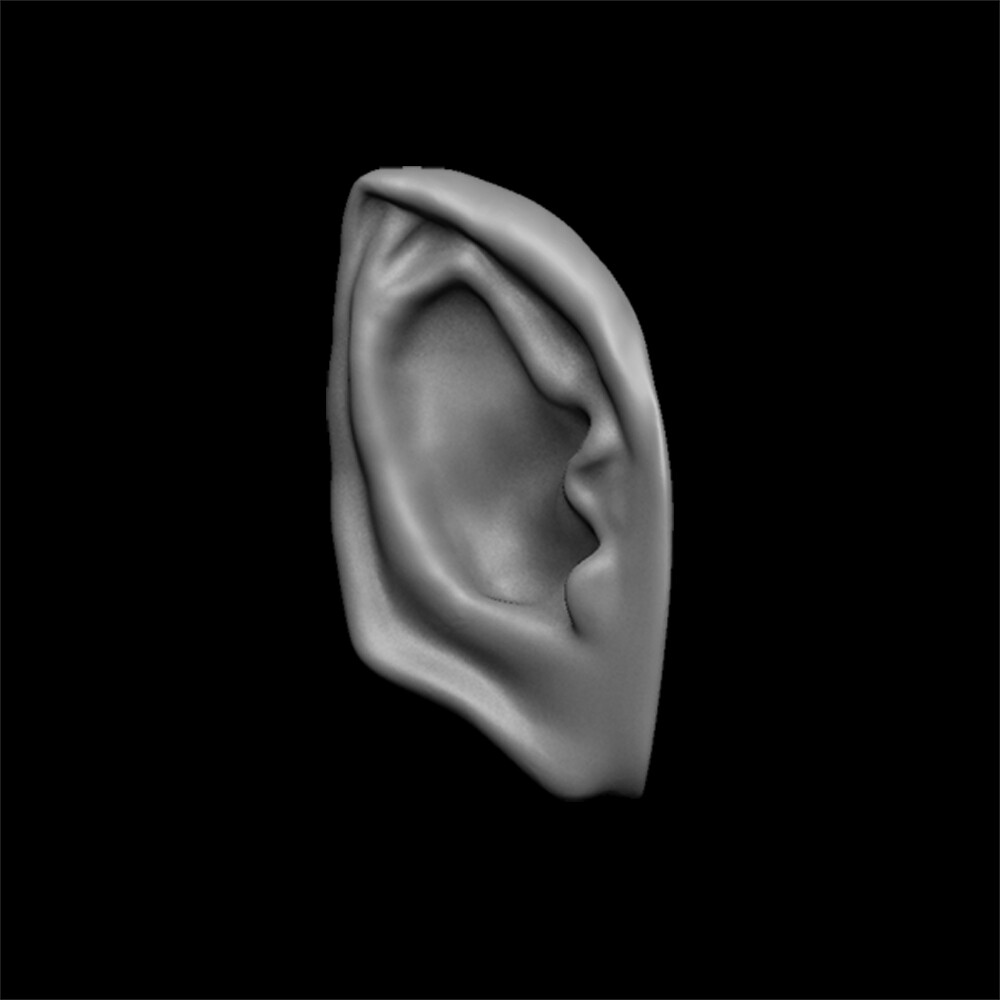 ArtStation - ears 3D model with high poly and low poly | Game Assets