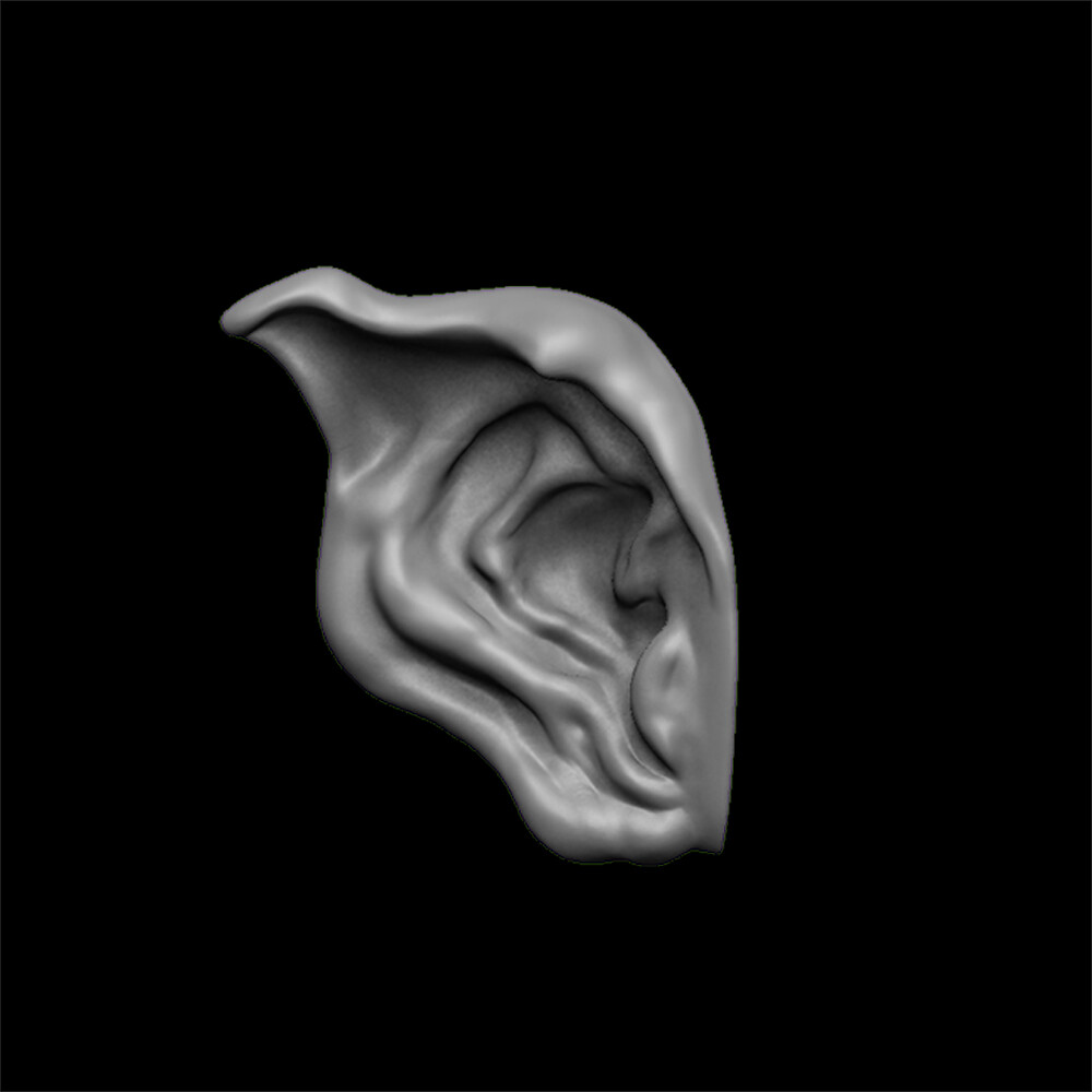 ArtStation - ears 3D model with high poly and low poly | Game Assets