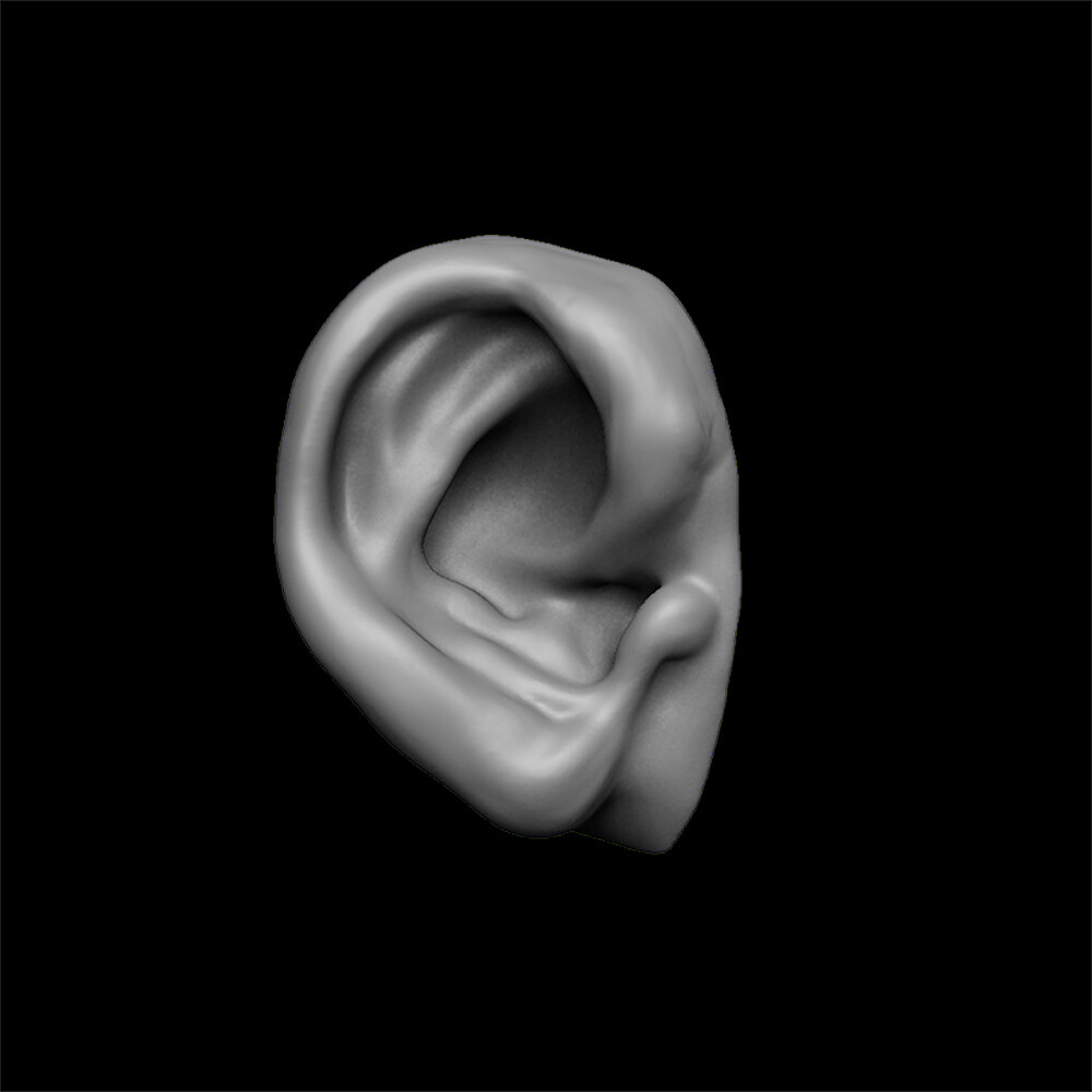 ArtStation - ears 3D model with high poly and low poly | Game Assets