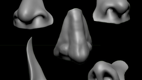 20 Noses with high poly and low poly 3D model