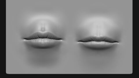 Lip 2 Free VDM Brush and Highpoly Free 3D model