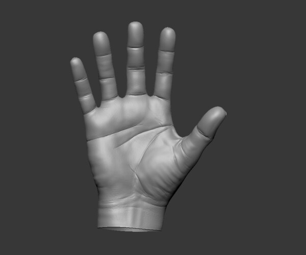 ArtStation - Male Hand 3D model | Game Assets