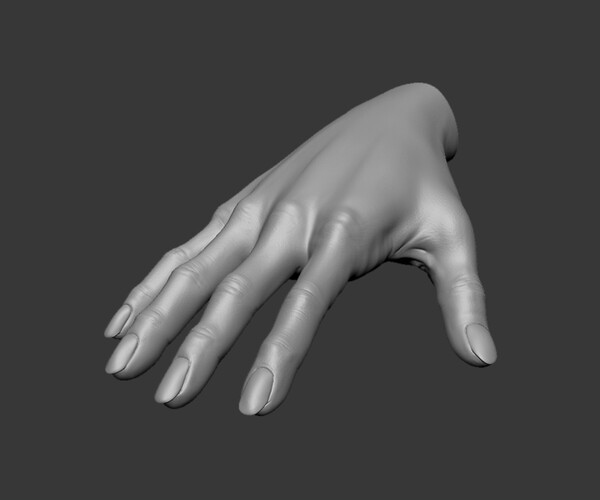 ArtStation - Female Hand 3D model | Resources