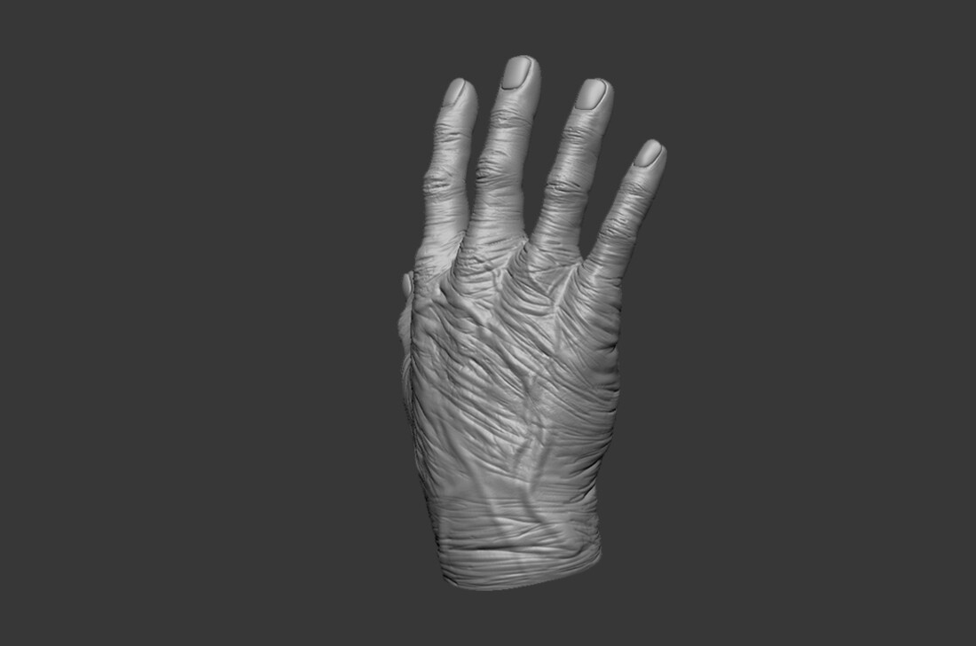 ArtStation - Old Human Hand 3D model | Resources