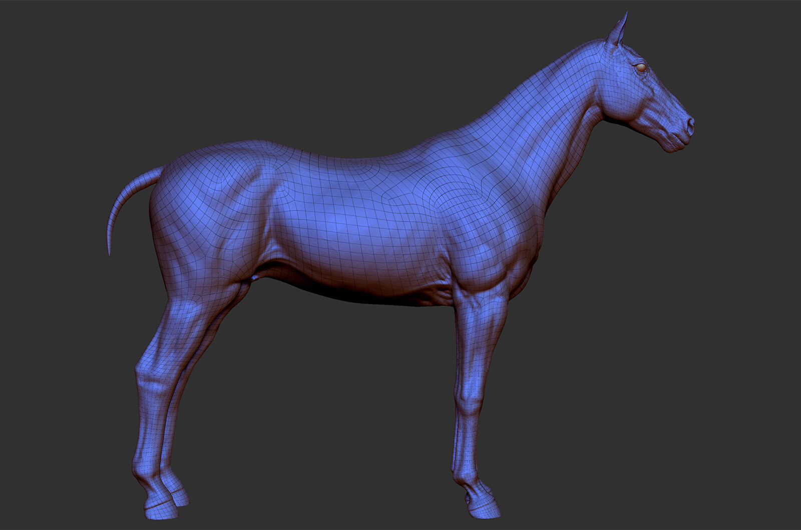Vivern A Realistic Horse Sculpt
