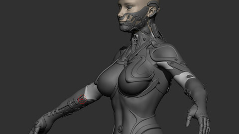 Robot Girl high poly model zbrush project and subtools 3D model