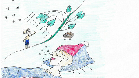 Dream, Dreams, color