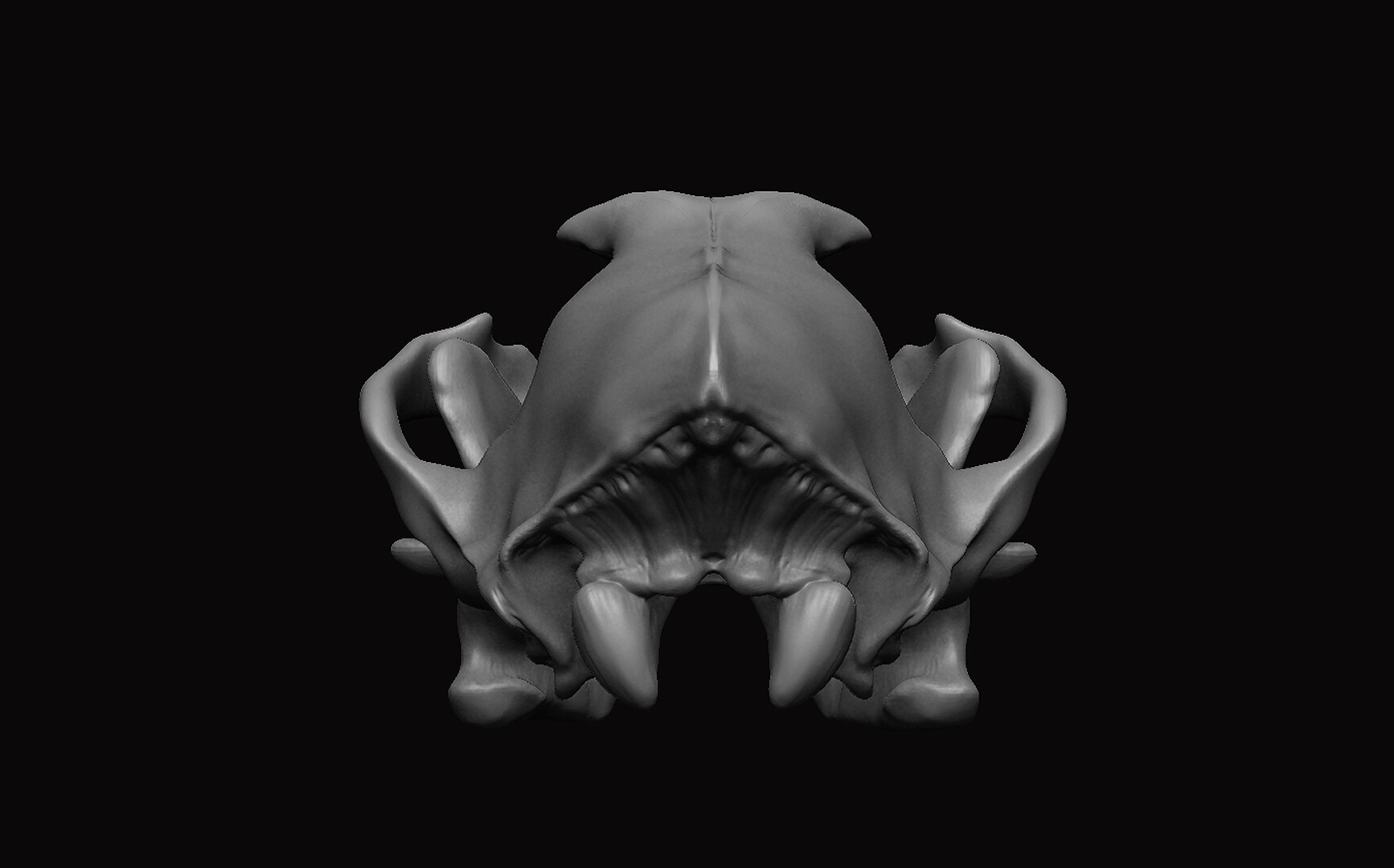 ArtStation - Wolf Skull 3D | Resources