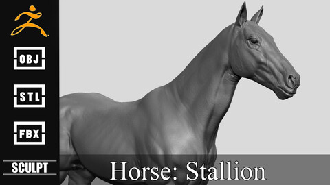 Realistic Horse Sculpt
