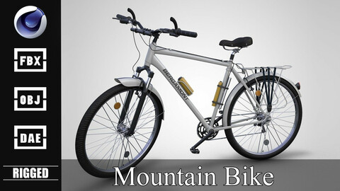 Mountain Bike