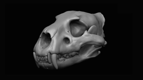 Lion Skull 3D