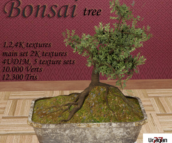 ArtStation Bonsai Game Assets