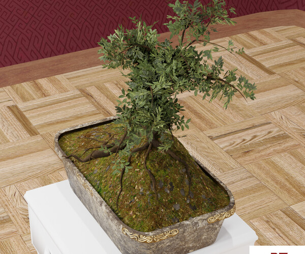 ArtStation Bonsai Game Assets