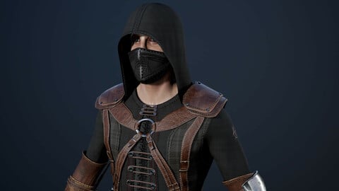 Assassin Secretive low poly game model