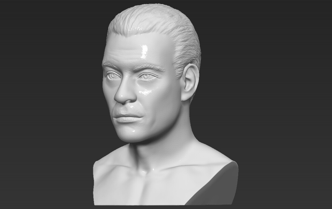 Artstation - Van Damme Kickboxer Bust 3d Printing Ready Stl Obj Formats 