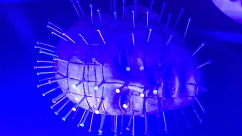 Pinhead