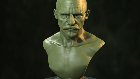 TTMinis 3Dprintable Bust [Pre-Supported]