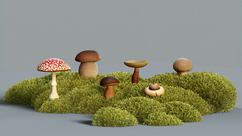 Common Forest Mushroom Asset Kit