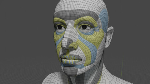 Generic head with anatomically based-topology