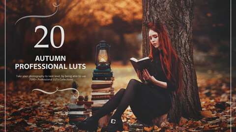 20 Autumn LUTs Pack