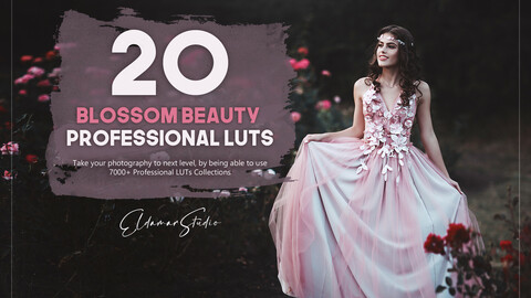 20 Blossom Beauty LUTs Pack