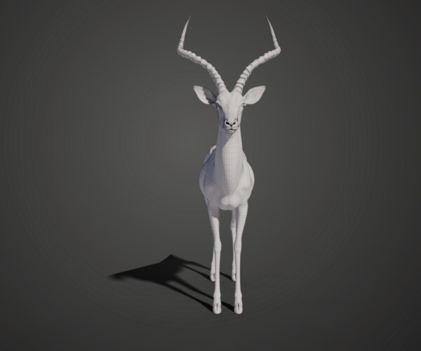 ArtStation - 3D Animal | Impala Animated | Resources