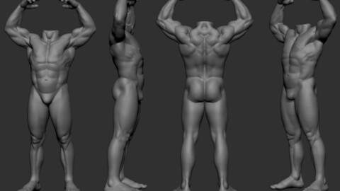 Base Mesh_ Body_01