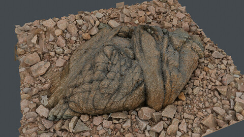 Photoscan_Beach Rock_0079_only HighPoly Mesh (16K Texture)