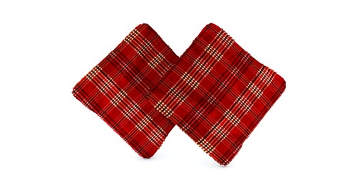 Pillow Model using FFD 4x4x4