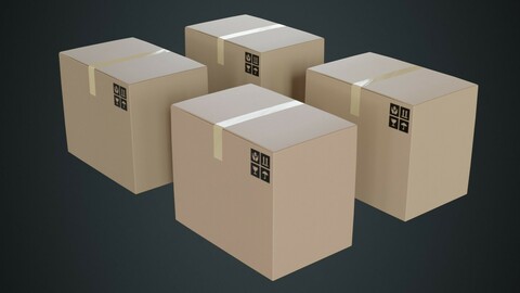 Cardboard Box 1A