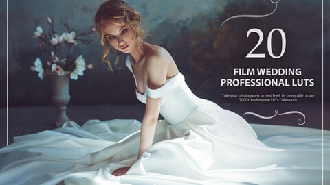 20 Film Wedding LUTs Pack