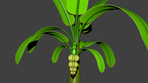 Banana Tree 3D - Buy Now!!