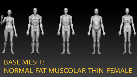 BASE MESH - 5 DETAILED MESH TO START - MALE - FEMALE - FAT - MUSCOLAR - THIN - NORMAL