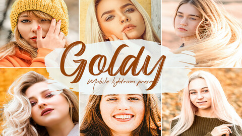 Goldy Lightroom Presets